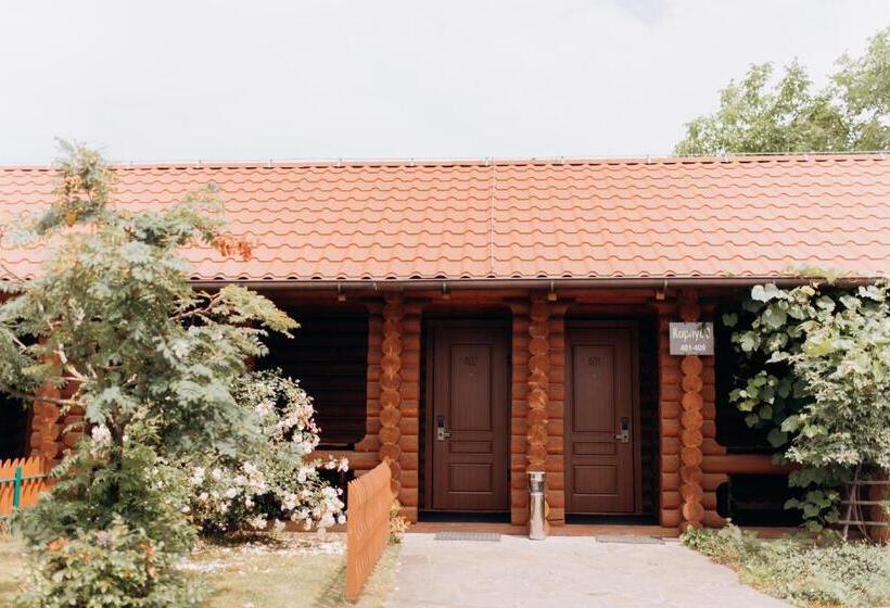 Отель Arta City