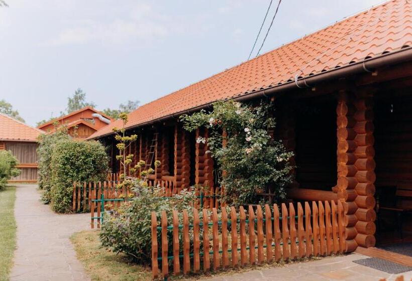 Отель Arta City