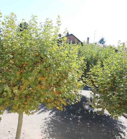 فندق Auberge Au Lion D Or