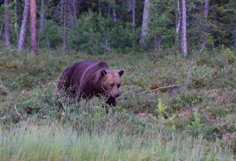 فندق B&b Camp ängra