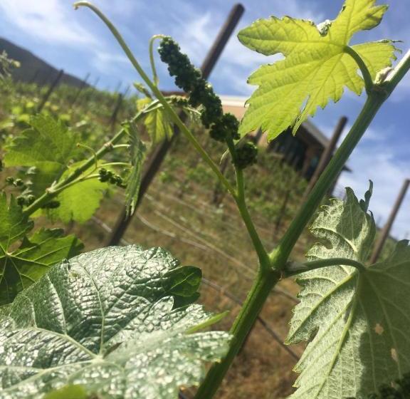 فندق Cabañas Rancho Palos Verdes