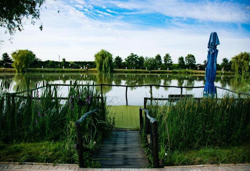 בית מלון כפרי Camelot Resort