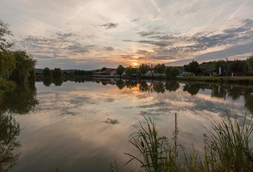 בית מלון כפרי Camelot Resort