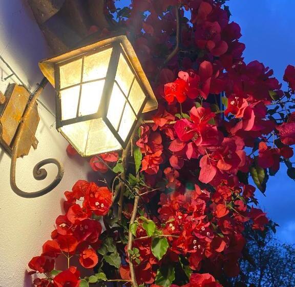 בית מלון כפרי Campestre El Portón De Los Jeroglíficos