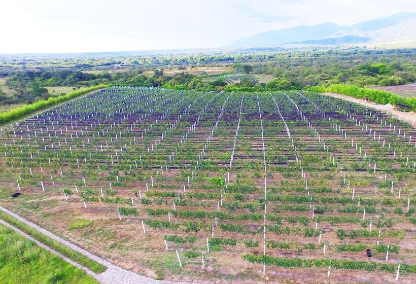 בית מלון כפרי Casa Bohemia   Resort De Cerveza Y Vino