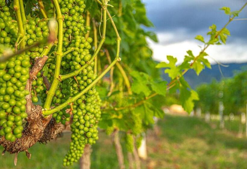 בית מלון כפרי Casa Bohemia   Resort De Cerveza Y Vino