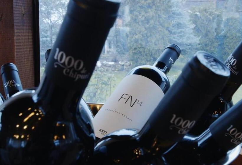 בית מלון כפרי Casa Colinelor