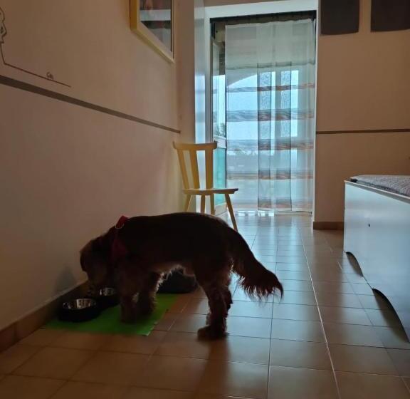 호텔 Da Nino Brussa 340