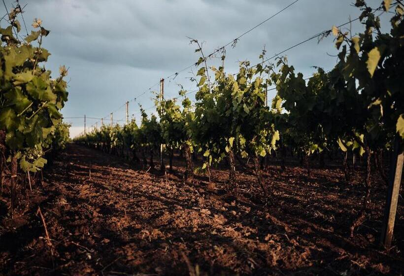 Отель Domeniile Panciu Winery & Resort