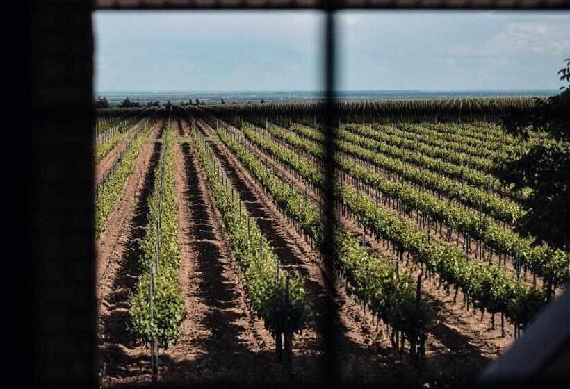 Отель Domeniile Panciu Winery & Resort