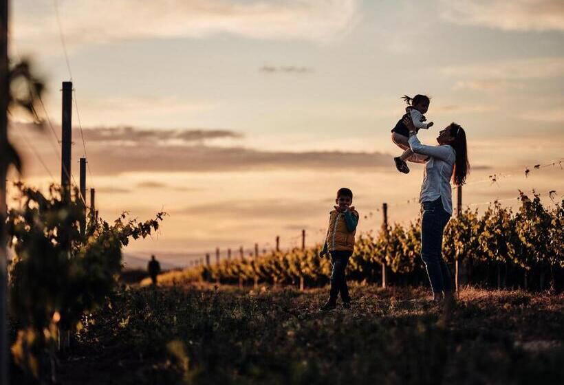 Отель Domeniile Panciu Winery & Resort