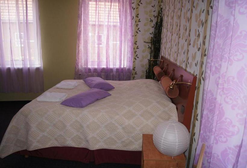 Отель Draschwitz