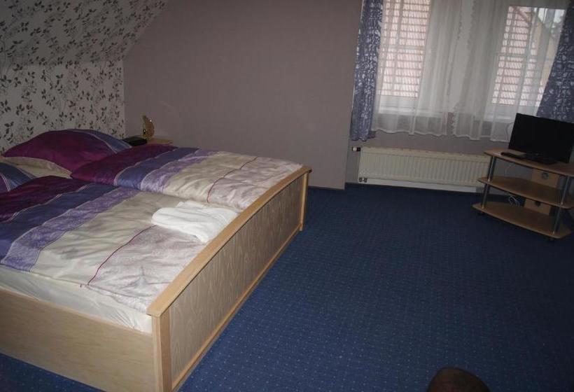 Отель Draschwitz