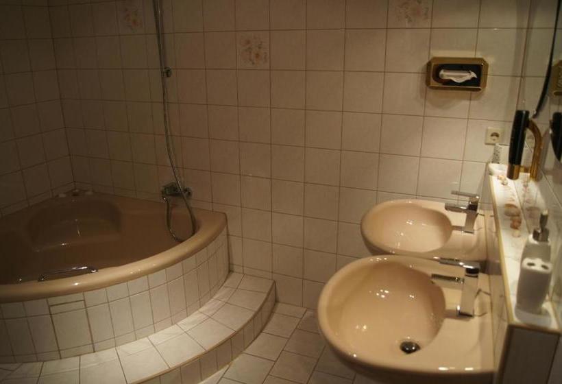 Отель Draschwitz