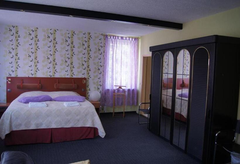 Отель Draschwitz