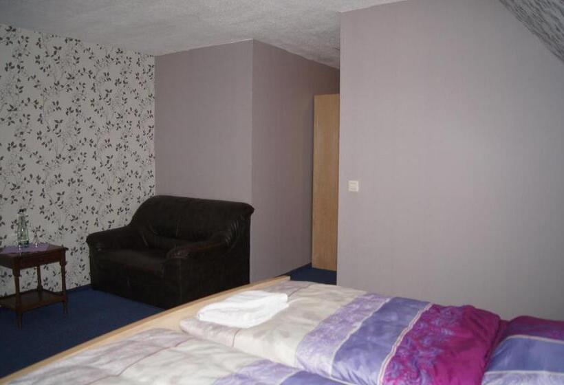 Отель Draschwitz