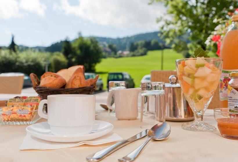 Hôtel Etoile Des Neiges Piscine Spa Sauna