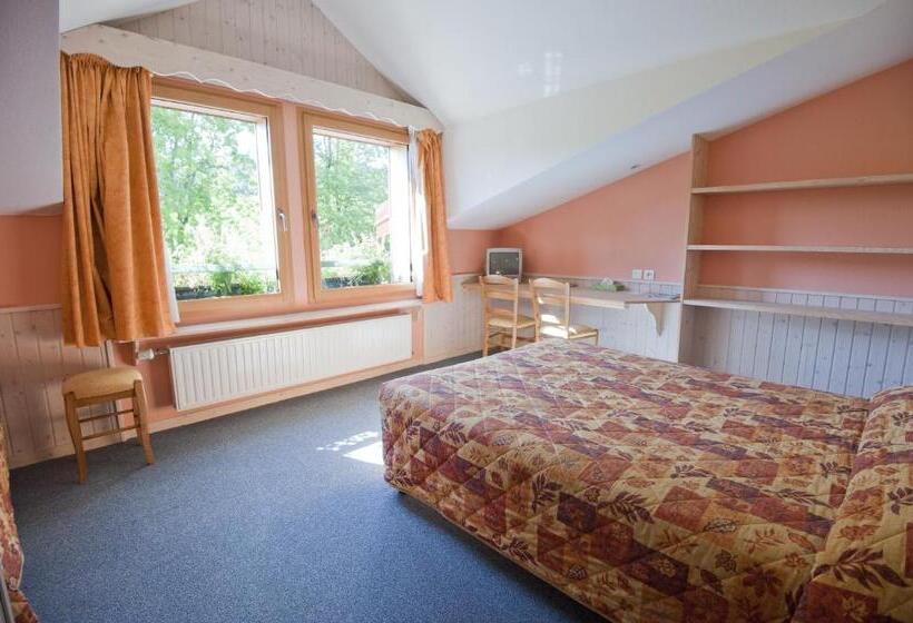 Hôtel Etoile Des Neiges Piscine Spa Sauna