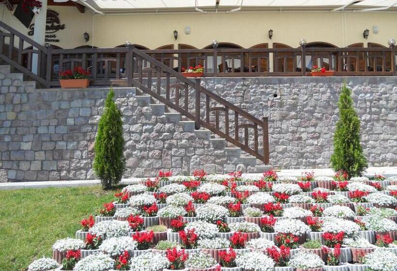 בית מלון כפרי Farkas Panzió