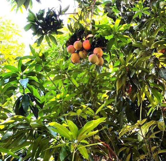 בית מלון כפרי Campestre La María Toro Valle