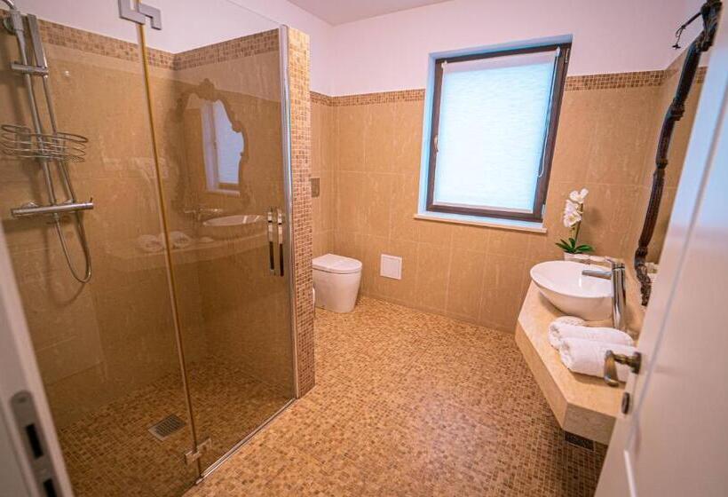 Отель Gradinile Romane