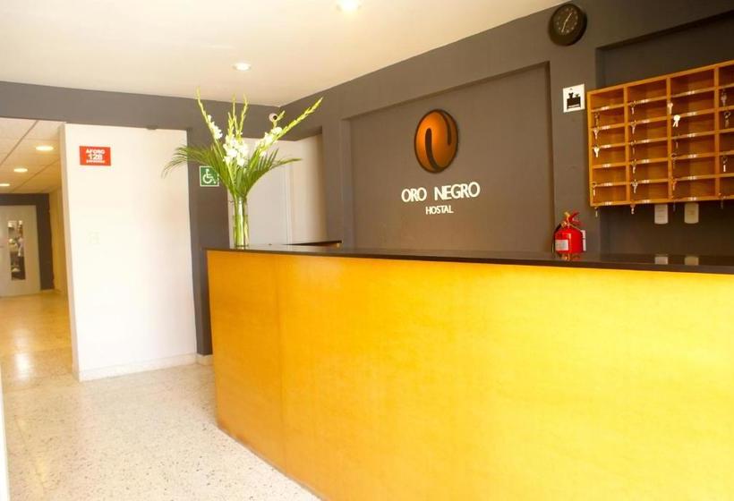 호텔 Hostal Oro Negro