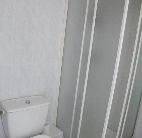 Отель Hôtel Des Voyageurs