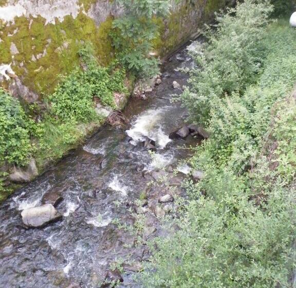 Отель Hôtel Des Voyageurs