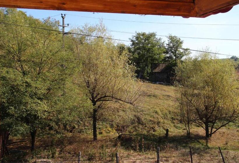 ホテル La Casa Boierului