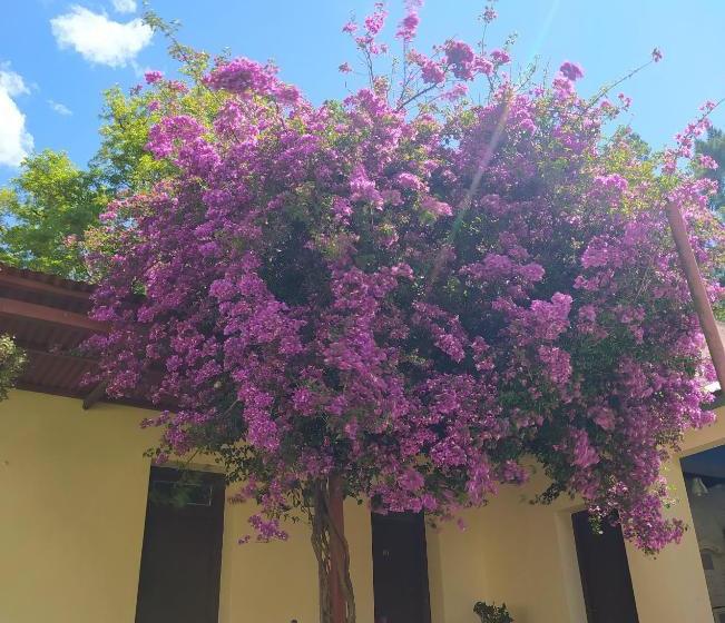 ホテル La Posada De Ofelia