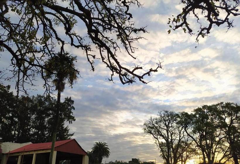 ホテル La Posada De Ofelia