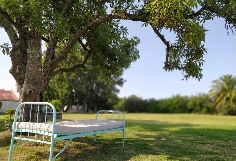 ホテル La Posada De Ofelia