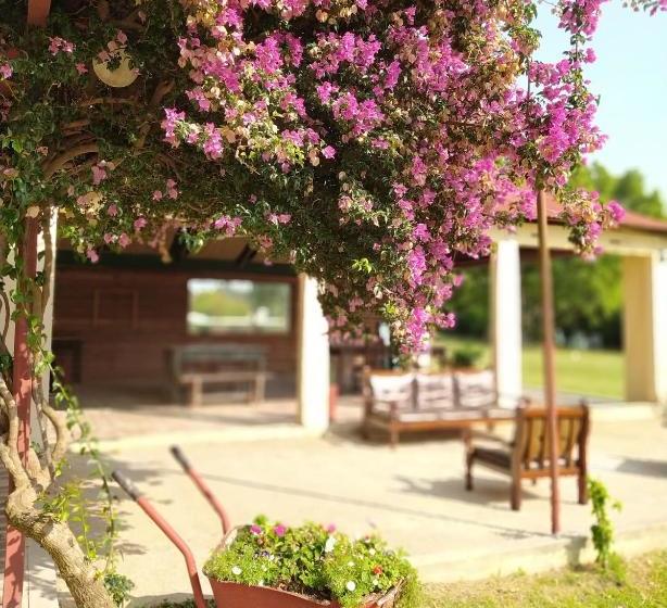 ホテル La Posada De Ofelia