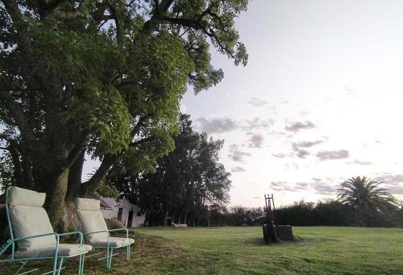 ホテル La Posada De Ofelia