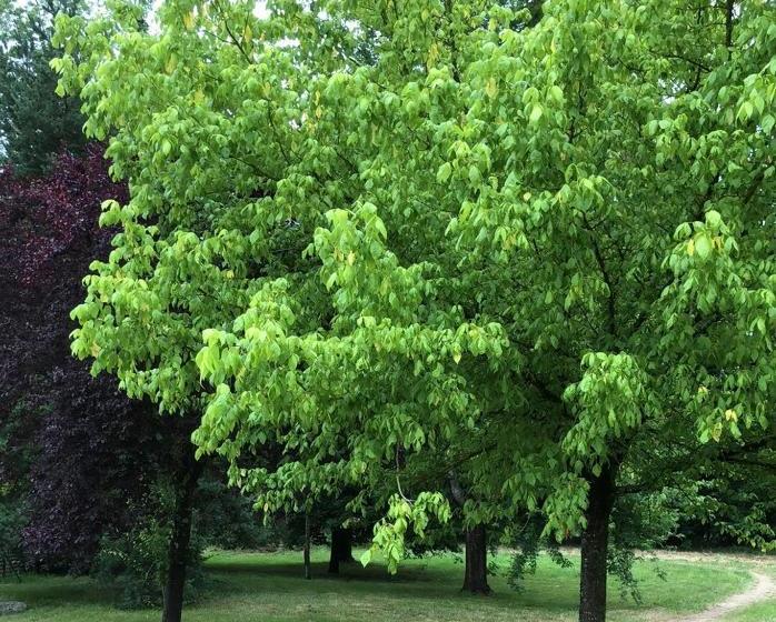 Le Charollais Motel Restaurant Contact Hôtel