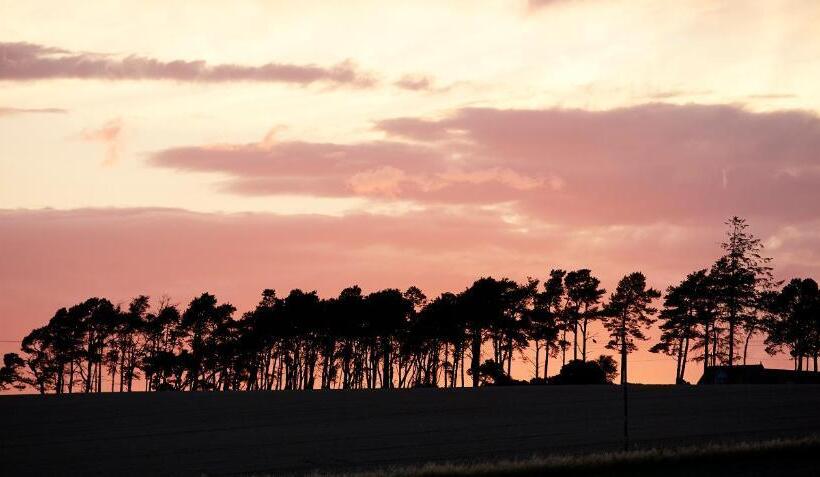 Отель Newhall Mains