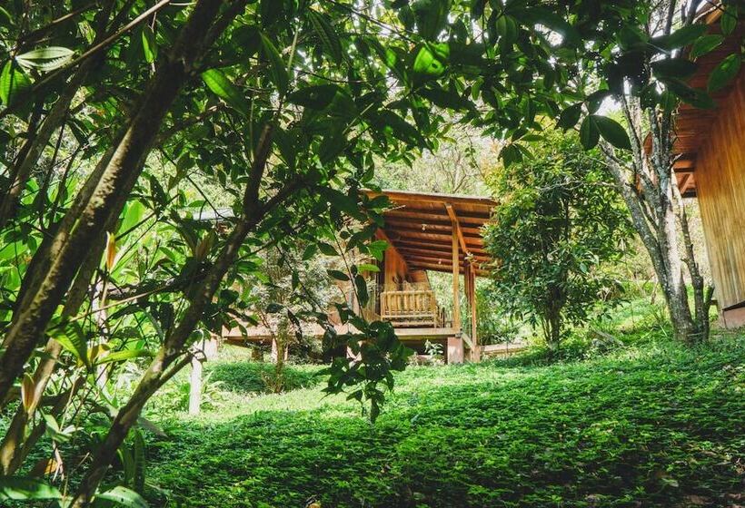 Отель Piripe Wellness Lodge