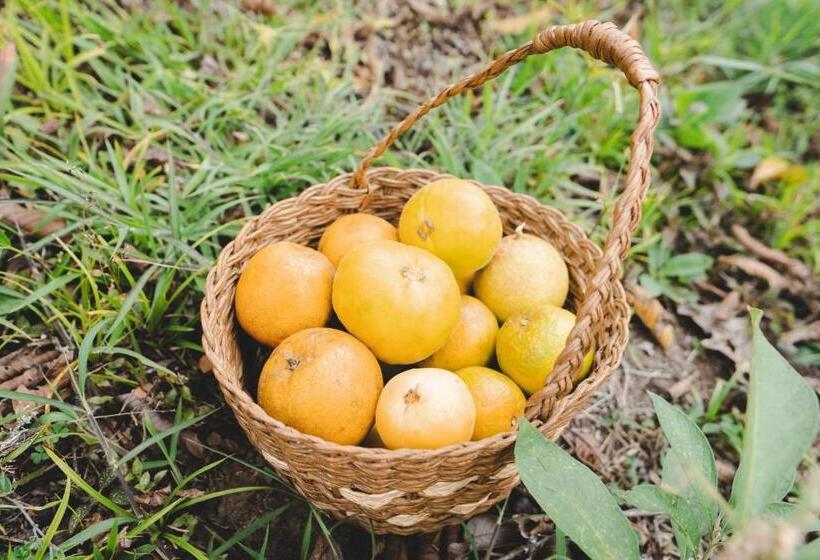 Отель Piripe Wellness Lodge