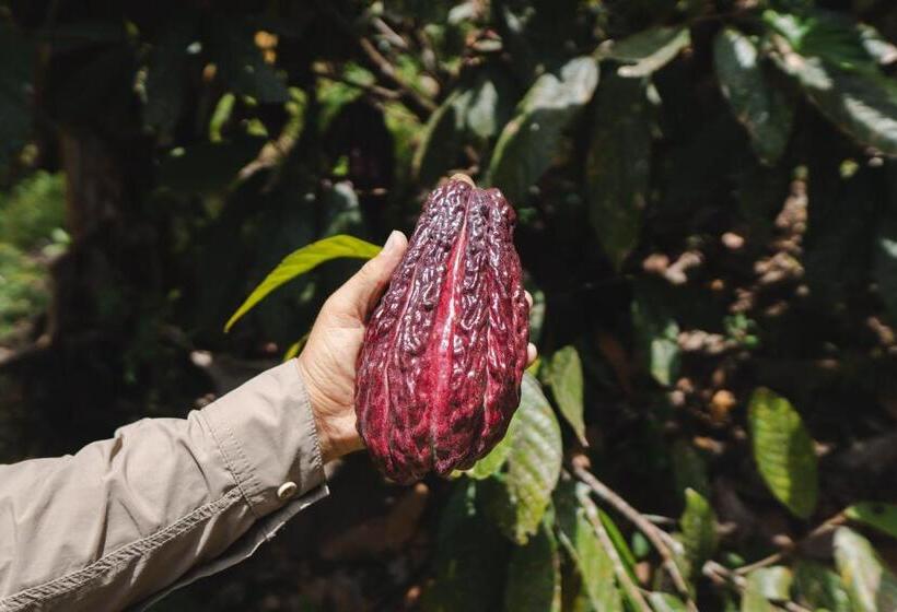 Отель Piripe Wellness Lodge