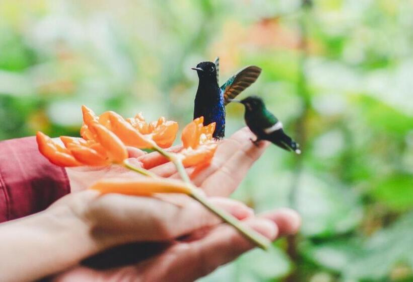 Отель Piripe Wellness Lodge