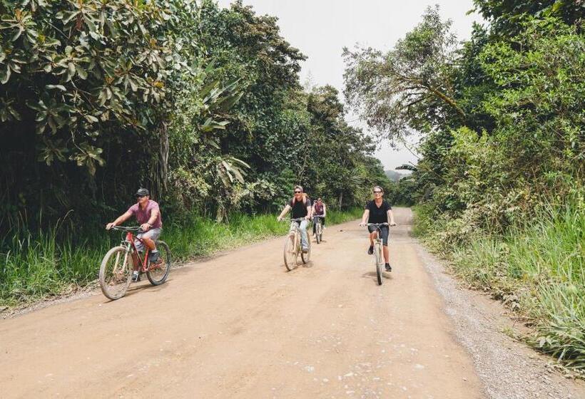 Отель Piripe Wellness Lodge