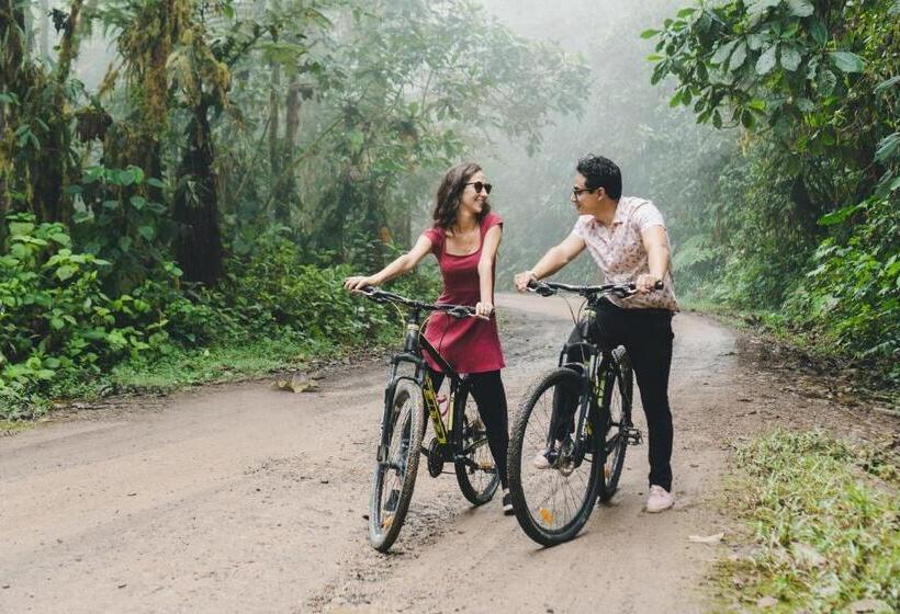 Отель Piripe Wellness Lodge