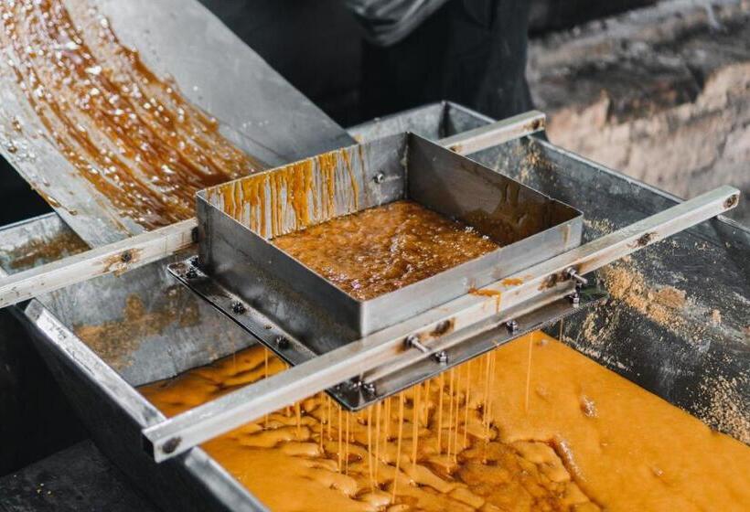 Отель Piripe Wellness Lodge