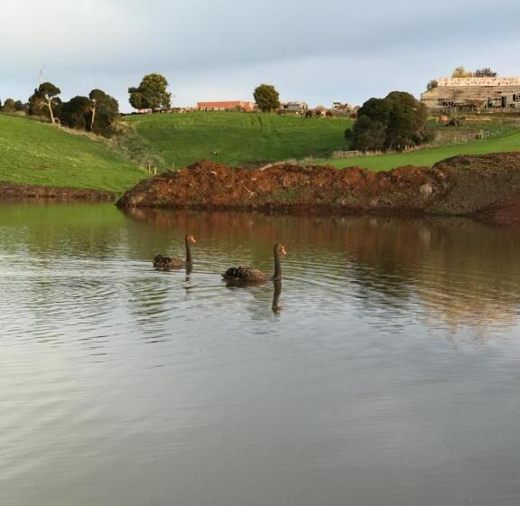 فندق Robin Hoods Well Farm Stay