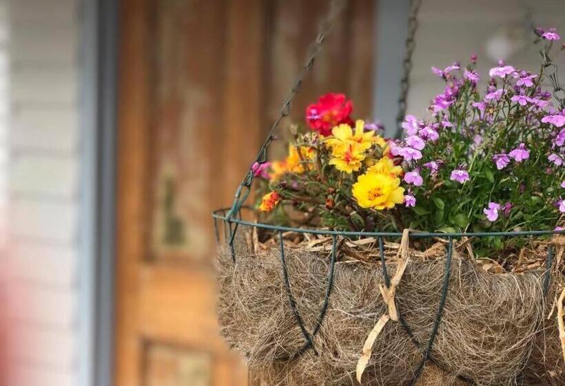 فندق Robin Hoods Well Farm Stay