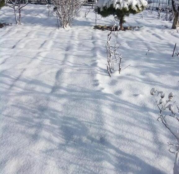 호텔 Snow King Retreat Himalayan View , Revolving Restaurant , Pinewood Cottages , Huts , Villas , Rooms