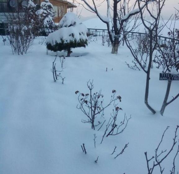 호텔 Snow King Retreat Himalayan View , Revolving Restaurant , Pinewood Cottages , Huts , Villas , Rooms