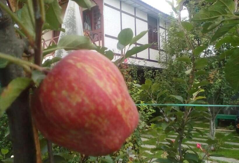 호텔 Snow King Retreat Himalayan View , Revolving Restaurant , Pinewood Cottages , Huts , Villas , Rooms