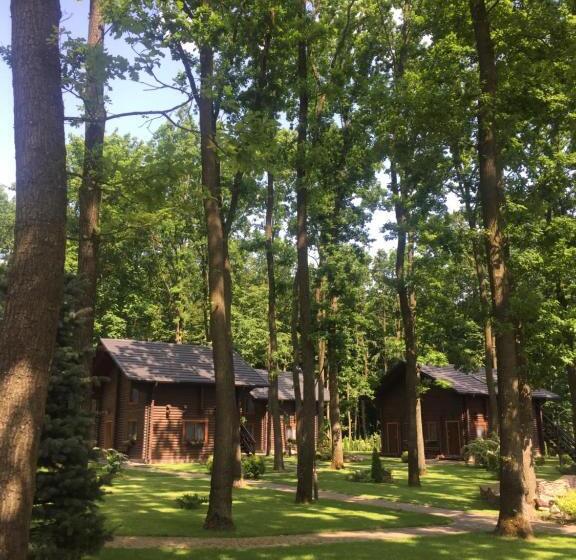 Отель Turiyske Podvir Ya