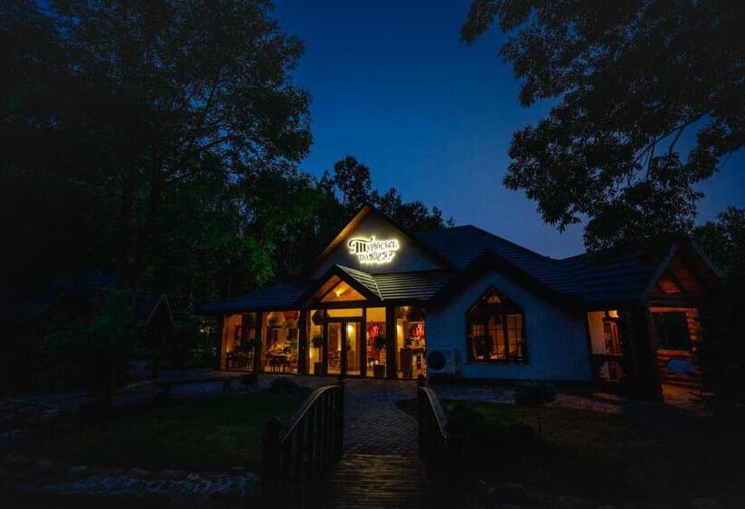 Отель Turiyske Podvir Ya